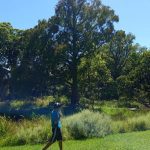 autism connect skills coaching centre 26 6